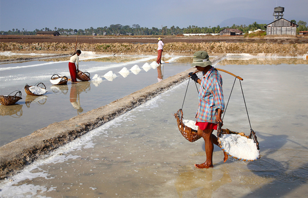 Kampot Salt Product 1